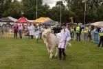 Flavours of Fingal 2025 - DAY1 (157) image
