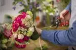 flower-show image